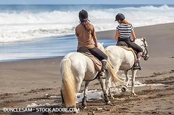 Reiten Reiten
